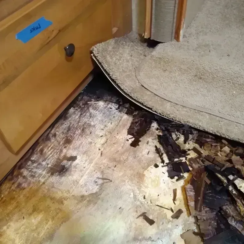 Wood Floor Water Damage in Conroe, TX